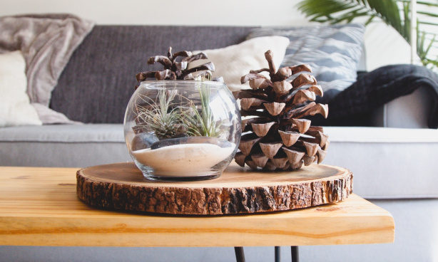 Découvrez les dernières actualités